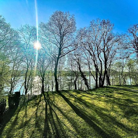 100M2 Fewo Im Haus Am See Mit Garten Bei Potsdam Schwielowsee Luaran gambar